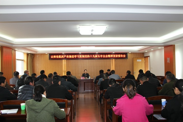集团党委委员、财务总监莫晓丹到羊场煤矿宣讲党的十九届五中全会精神