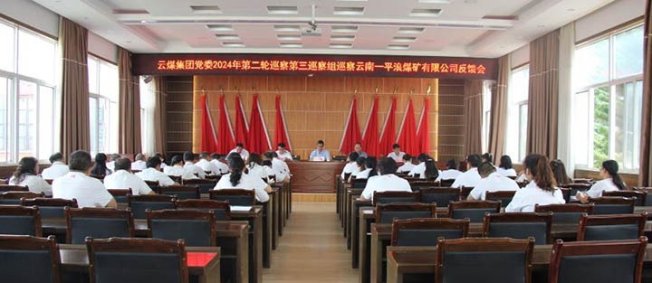 意昂体育 | 智能运动新世代的引领者集团2024年第二轮巡察第三巡察组对一平浪煤矿公司党总支反馈巡察情况