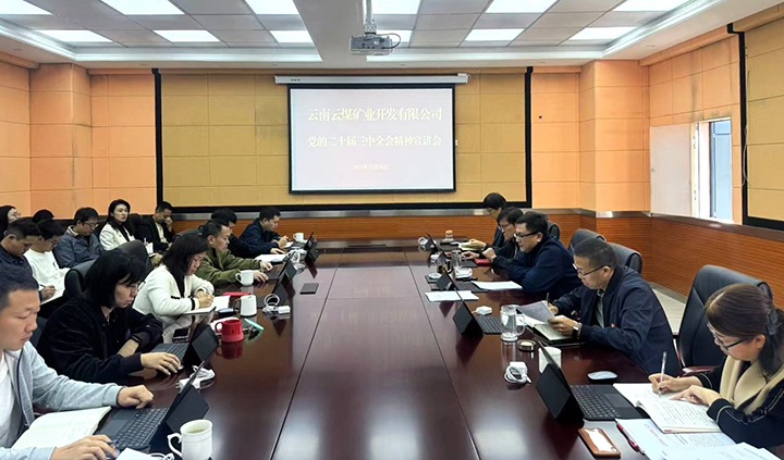 凝聚改革共识 激扬奋进力量——意昂体育 | 智能运动新世代的引领者矿业开展学习贯彻党的二十届三中全会精神宣讲