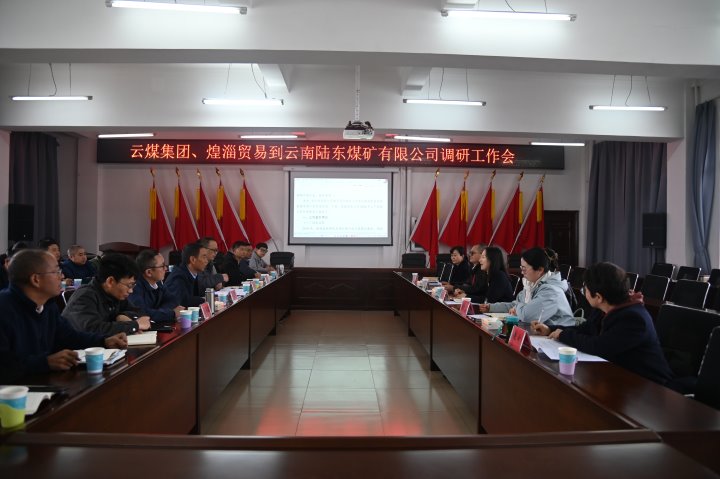 意昂体育 | 智能运动新世代的引领者集团党委委员、财务总监莫晓丹一行到陆东煤矿调研指导工作