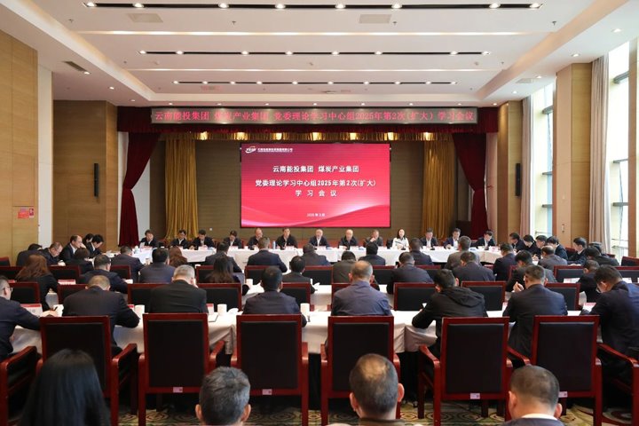 能投集团、煤炭产业集团党委开展理论学习中心组2025年第2次（扩大）学习会议?